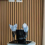 163 Boutique Hotel *